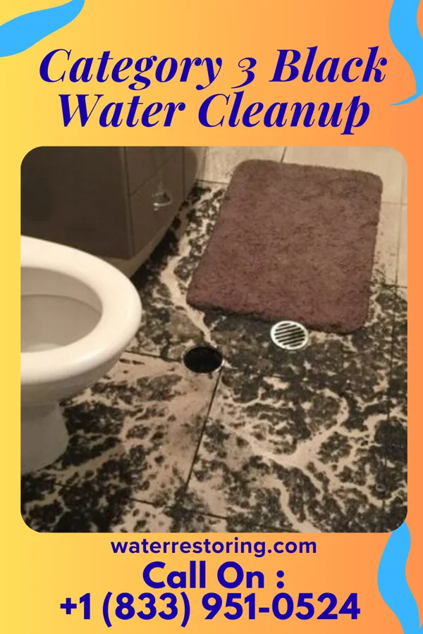 Category 3 Black Water Cleanup in Falling Water, TN