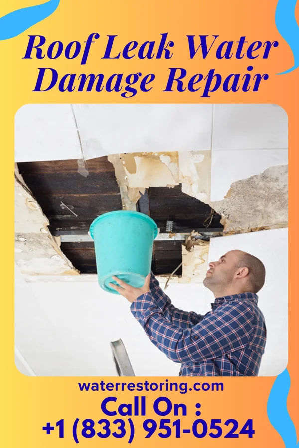 Roof Leak Water Damage Repair in Falling Water, TN